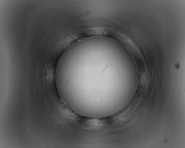 X0000101390326200807141139