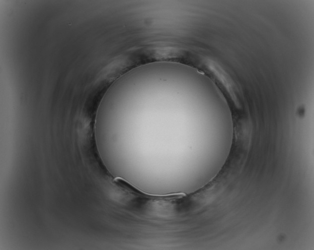 X0000101390327200807141139