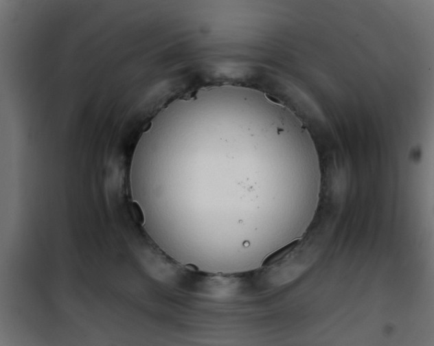 X0000101390328200807141139