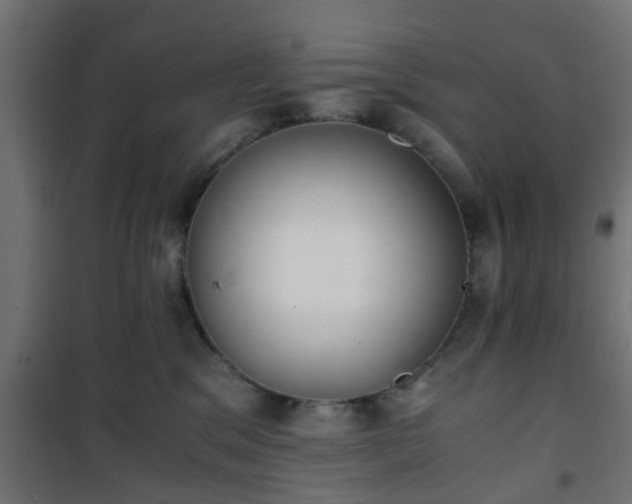 X0000101390329200807141139