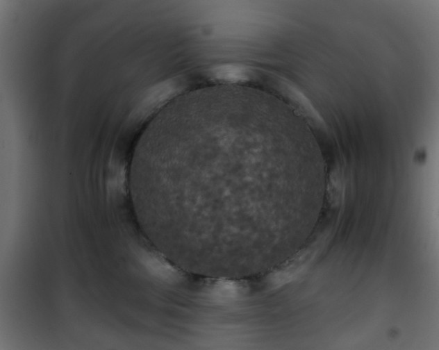 X0000101390330200807141139