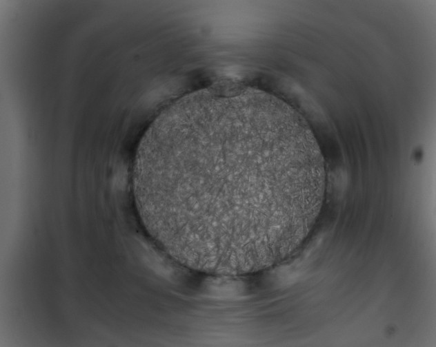 X0000101390331200807141139