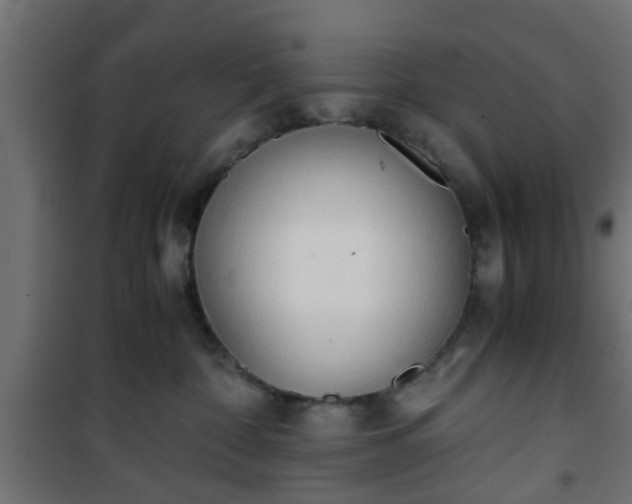 X0000101390332200807141139