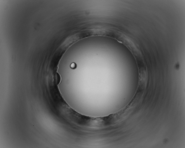 X0000101390333200807141139