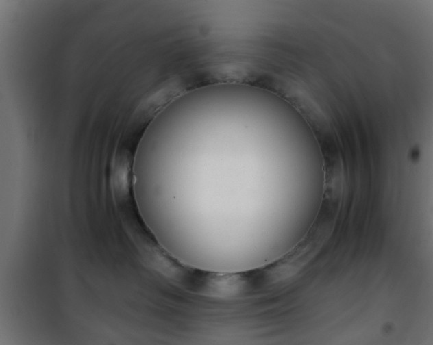 X0000101390334200807141139