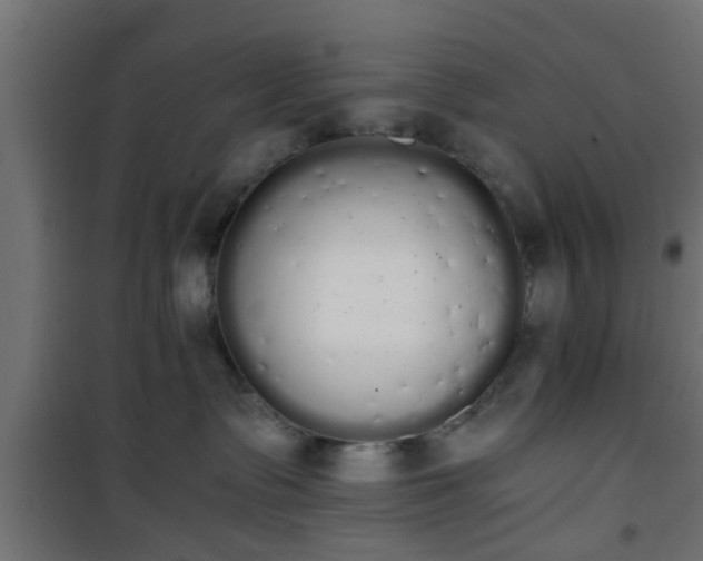 X0000101390335200807141139