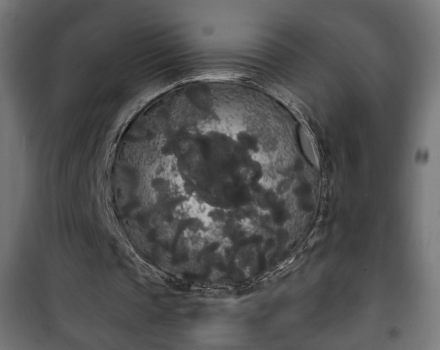 X0000101390337200807141138