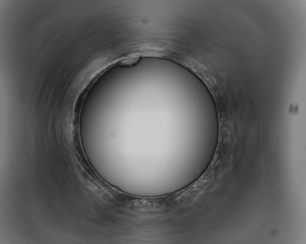 X0000101390338200807141138