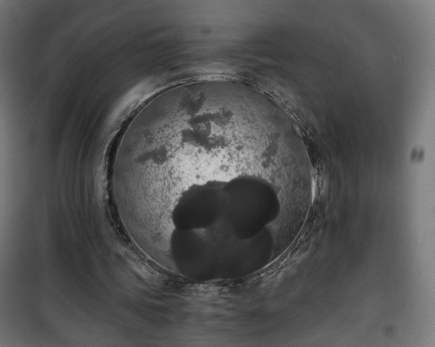 X0000101390339200807141138