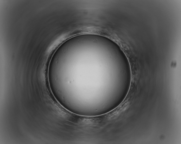 X0000101390341200807141138