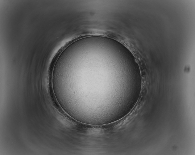 X0000101390342200807141138