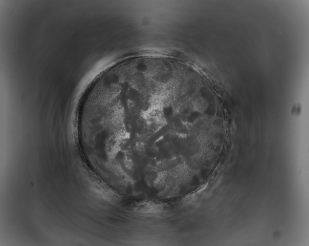 X0000101390343200807141138