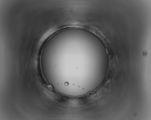 X0000101390344200807141138