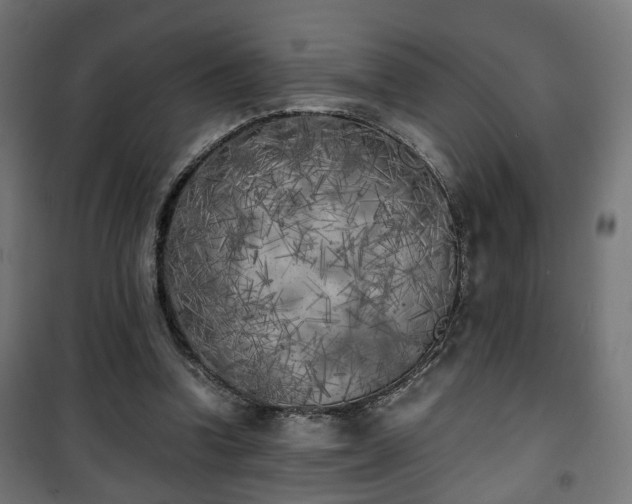 X0000101390346200807141138
