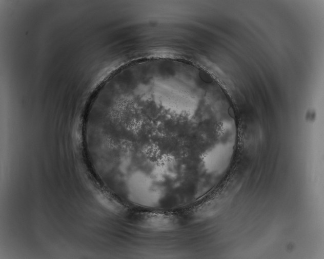 X0000101390347200807141138