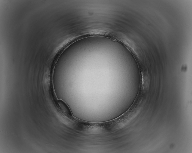 X0000101390348200807141138