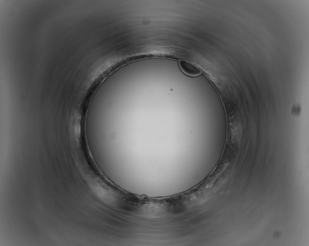 X0000101390350200807141138