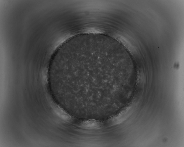 X0000101390351200807141138