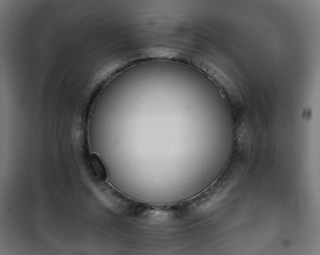 X0000101390352200807141138