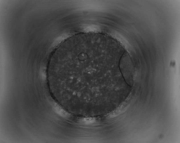 X0000101390353200807141138