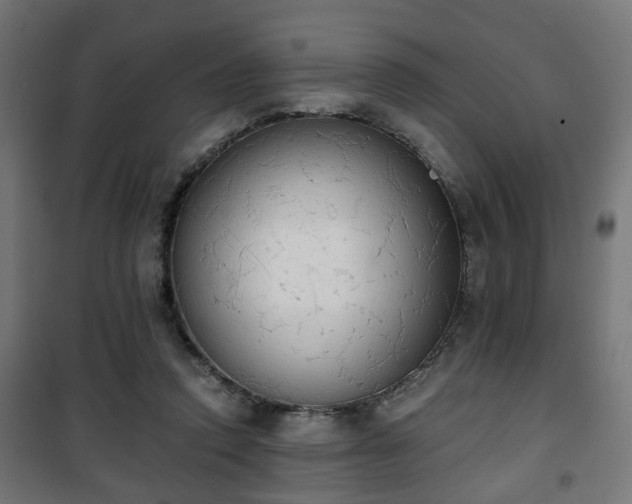 X0000101390354200807141138