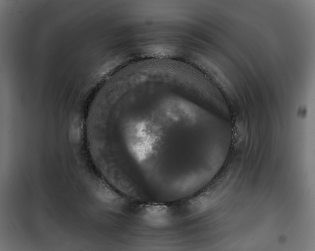 X0000101390355200807141138