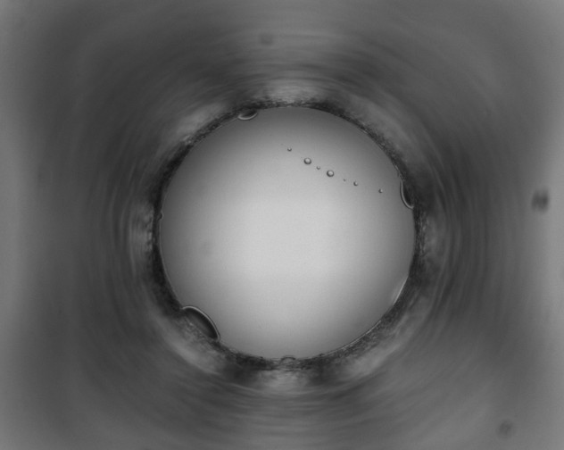 X0000101390356200807141138