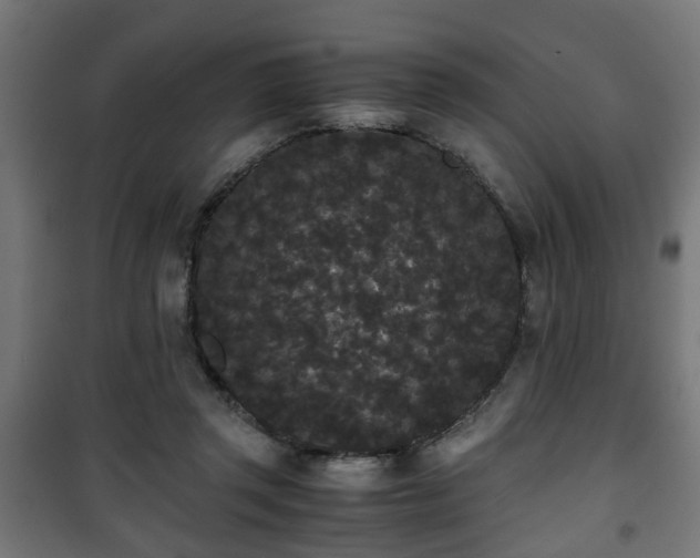 X0000101390357200807141138