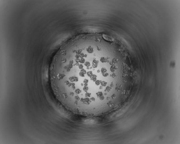 X0000101390358200807141138