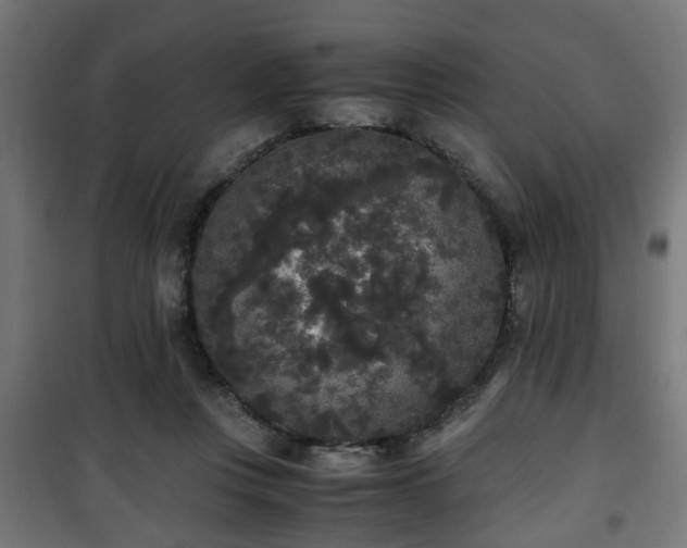 X0000101390359200807141138