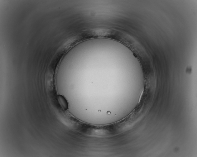 X0000101390360200807141138