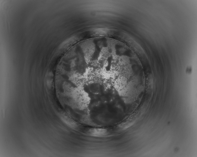 X0000101390361200807141138