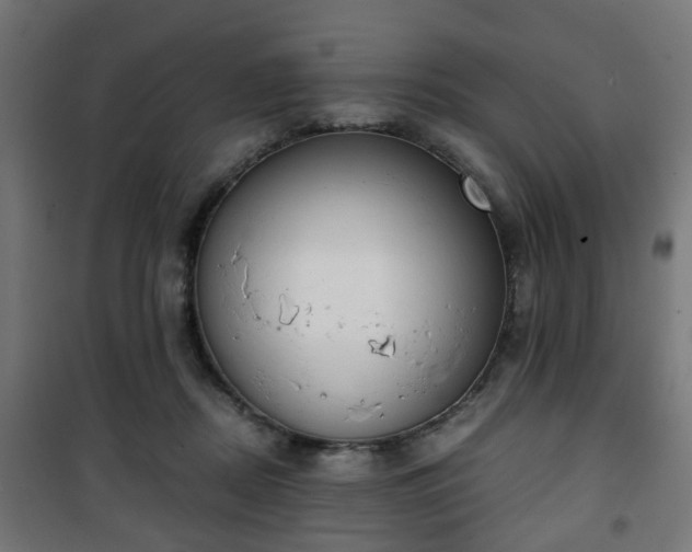 X0000101390362200807141138