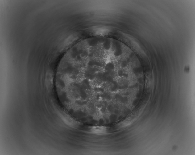 X0000101390363200807141138