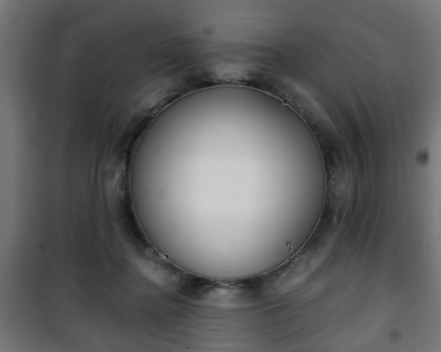 X0000101390364200807141138