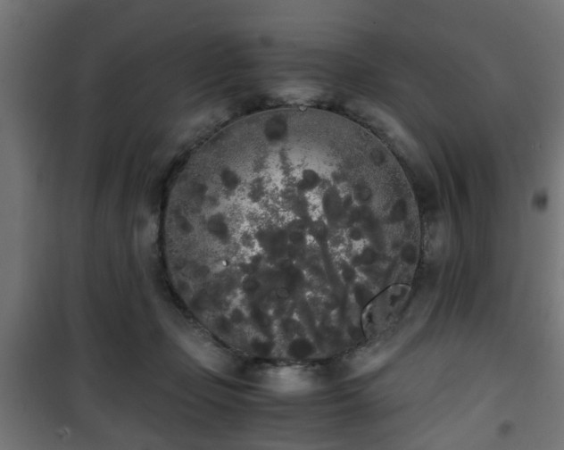 X0000101390365200807141138