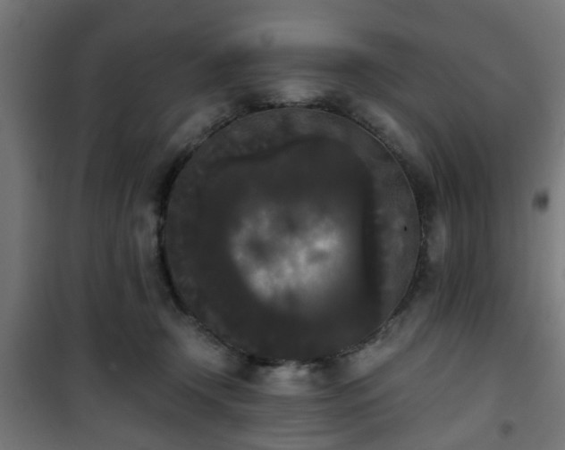 X0000101390366200807141138