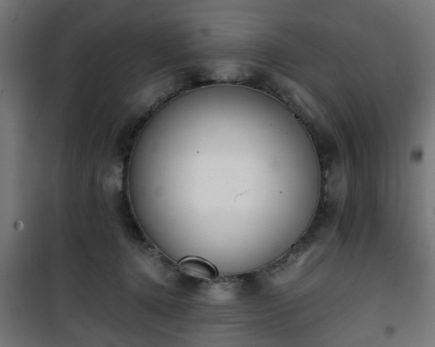 X0000101390368200807141138