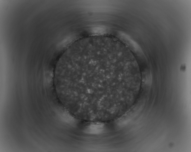 X0000101390369200807141138