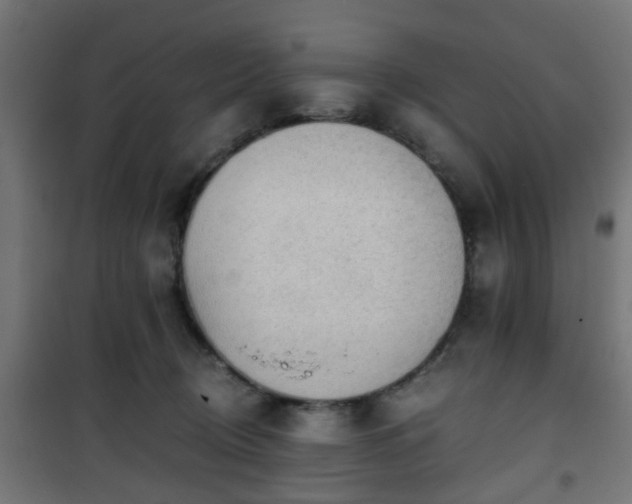 X0000101390370200807141138