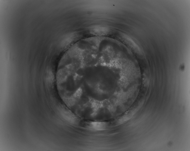 X0000101390371200807141138