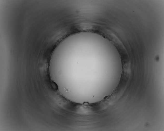 X0000101390372200807141138