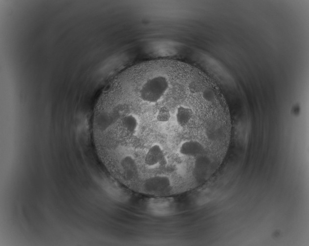 X0000101390373200807141138