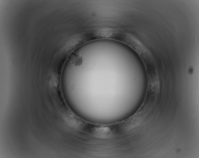 X0000101390374200807141138