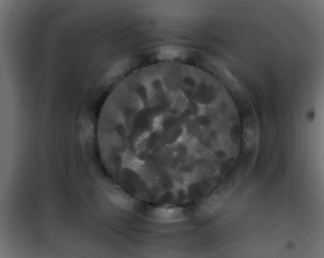 X0000101390375200807141138