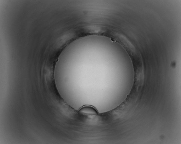 X0000101390376200807141138