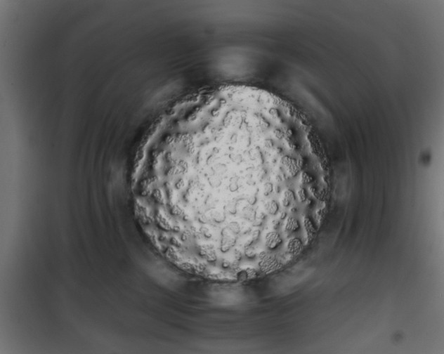 X0000101390377200807141139