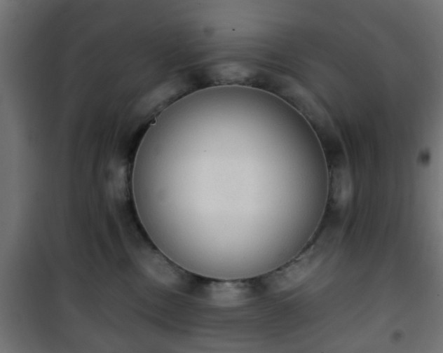 X0000101390378200807141139