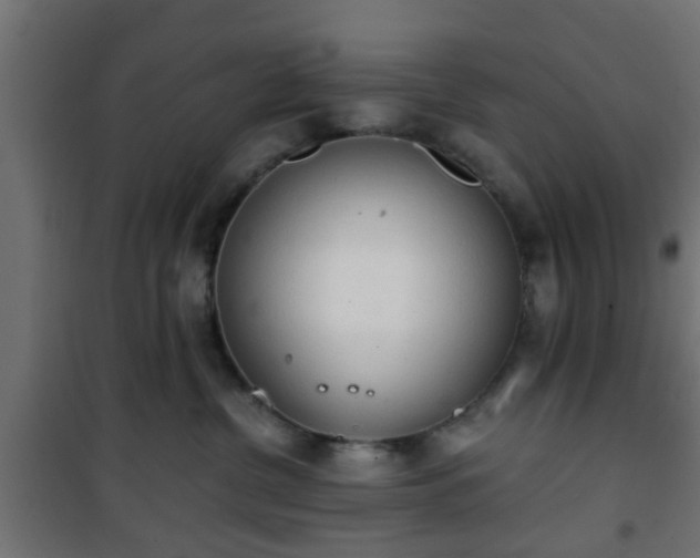 X0000101390380200807141139