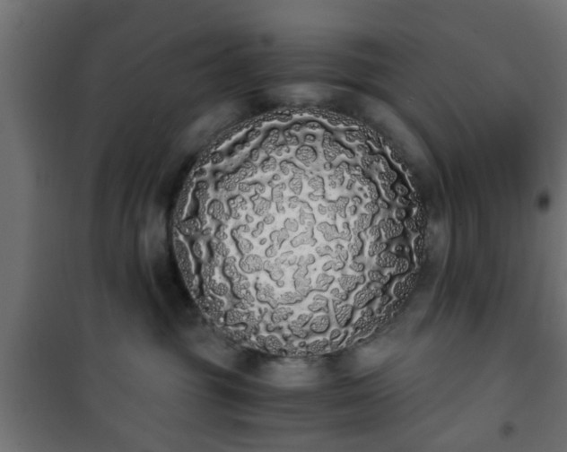 X0000101390381200807141139